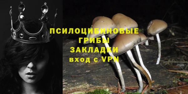 тгк Нея