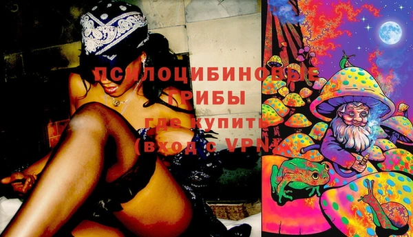 мяу мяу кристалл Верея